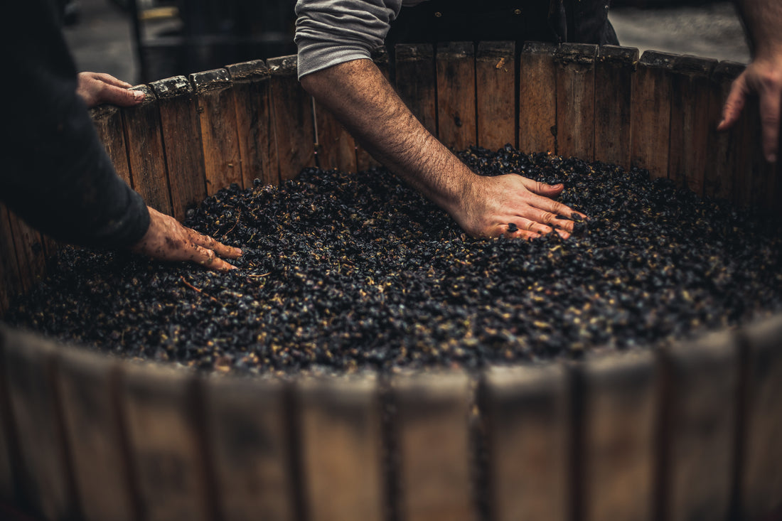 Two people press and mix dark grapes with their hands in a large wooden barrel, capturing a traditional winemaking scene—perfect inspiration for a creative agency for wine  hospitality focused on authentic wine label  packaging design.