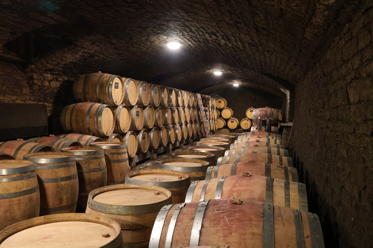 A dimly lit wine cellar with rows of wooden barrels stacked against stone walls and arched ceilings, reflecting a rustic and historic atmosphere—perfect inspiration for unique Wine Label  Packaging Design.